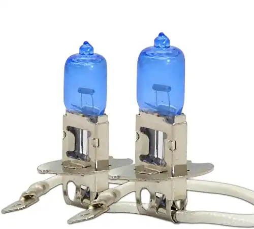 H3 Birne WinPower H3 / PK22s 100W Halogen 5000K