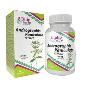 Andrographis Paniculata 400mg Kapseln von BioPharma, 90 Stück