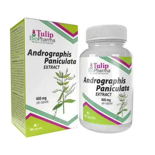Andrographis Paniculata 400mg Kapseln von BioPharma, 90 Stück