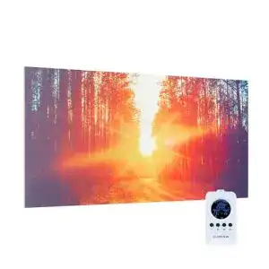 Klarstein Infrarotheizung mit Thermostat 720W Wandmontage Heizpaneel