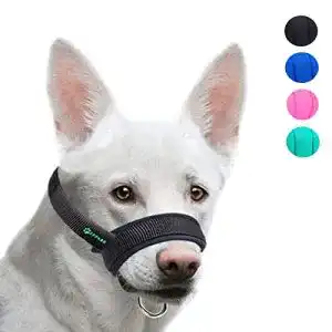 Maulkorb ILEPARK aus Stoff für Hunde