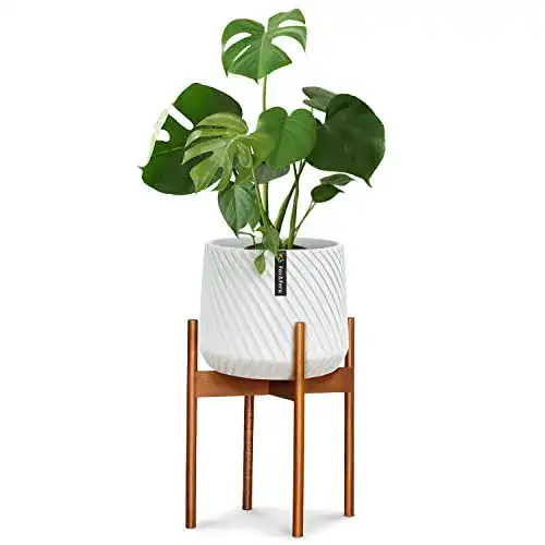 Blumenständer Fox & Fern Pflanzenständer L aus Akazienholz
