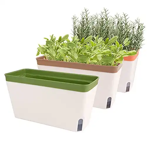 Kräutertopf Fayavoo Selbstbewässernder Blumentopf Set von 3