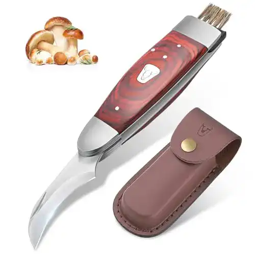 Pilzmesser Jason mit Bürste und klappbarer Klinge für Pilzesammler