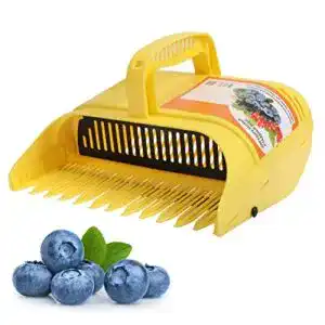 Beerenkamm Pssopp Beerenpflücker für Heidelbeeren, Handwerkzeug
