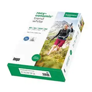 Recyclingpapier inapa und Druckerpapier Recyconomic im Vergleich