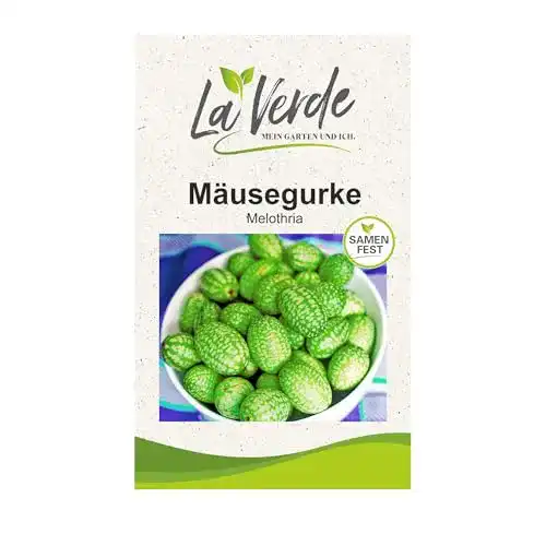 Gurken-Samen Mäusegurke für ca. 20 Pflanzen, ohne Gentechnik