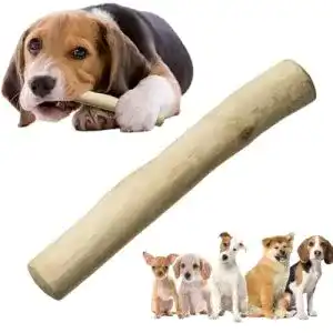 Kauholz Hund Cutiolly aus Kaffeeholz für Hunde