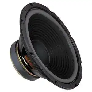 Monacor SP-300P Tieftöner mit Polkernbohrung und 100 Watt Nennbelastbarkeit