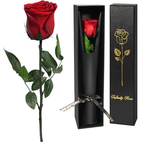 Ewige Rose – Langanhaltende Blumen als Geschenk oder Dekoration