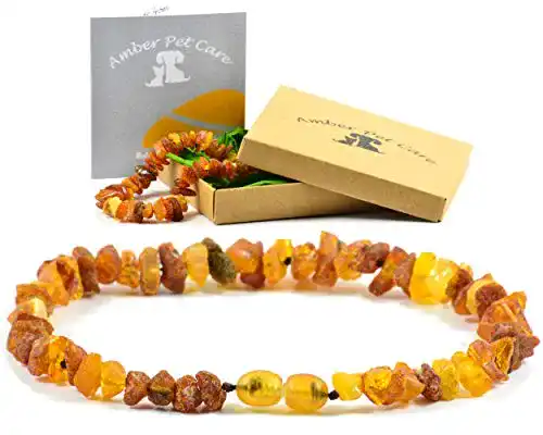 Bernstein-Halsband für Hunde von AmberPetCare Bernsteinkette