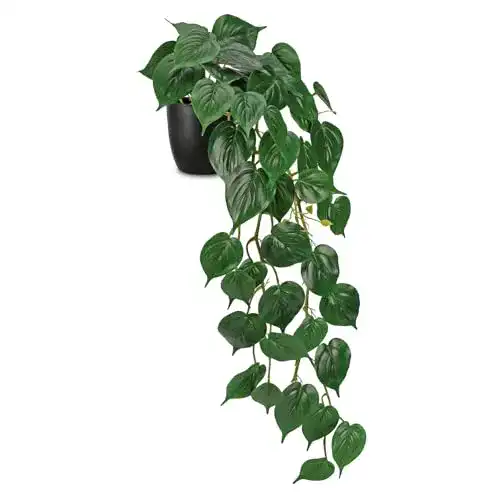 Künstliche Hängepflanze Hollyone 85 cm Golden Pothos für Innenräume