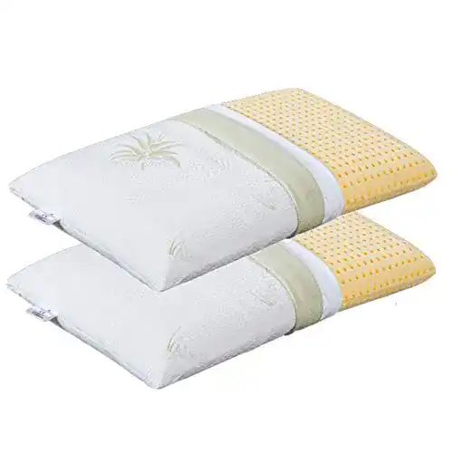 Visco-Kissen Evergreenweb Materassi & Beds 2er Set