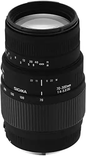 Sigma 70-300 mm F4,0-5,6 DG Makro-Objektiv für Minolta/Sony