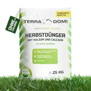 Patentkali Terra Domi Rasendünger Herbst 25kg für 625m²
