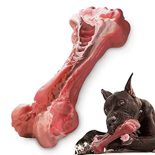 Robustes Hundespielzeug MASBRILL für hohe Ansprüche