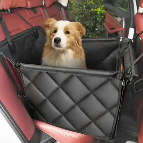 Hundeautositz von Looxmeer für kleine und mittlere Hunde