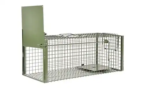 Marderfalle KrapTrap Lebendfalle für Katzen und Marder 75 x 29 x 28 cm