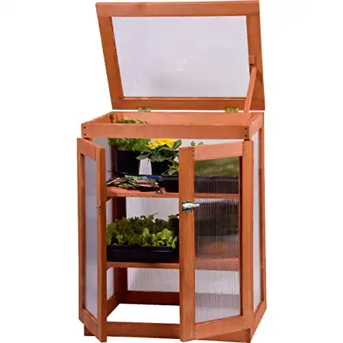 Mini-Gewächshaus Dobar 29167FSC 0,16 m³ für Balkon und Indoor
