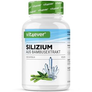 Silizium-Kapseln Vit4Ever – 365 Kapseln mit 500 mg organischem Silizium