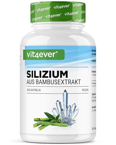 Silizium-Kapseln Vit4Ever – 365 Kapseln mit 500 mg organischem Silizium