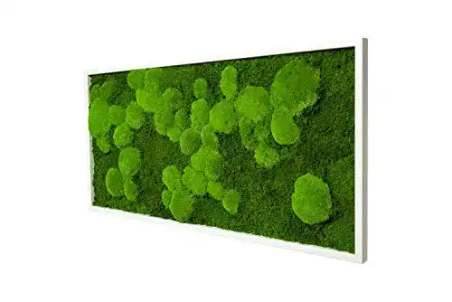 Moosbild mit Pflanzenbildern für Wanddekoration