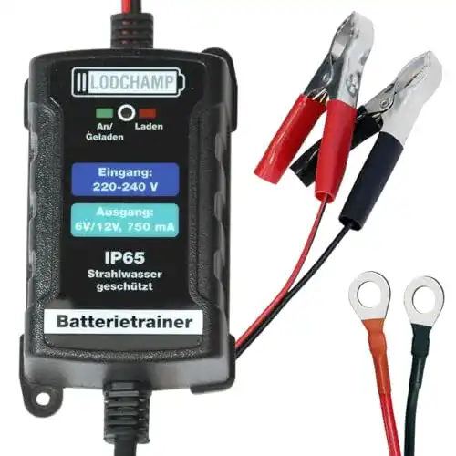 Erhaltungsladegerät Lodchamp 146303 Battery Trainer für 6V/12V Batterien