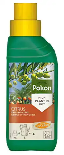 Pokon Zitrus- und mediterraner Pflanzendünger 250ml