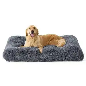 Bedsure Hundebett für große Hunde – Waschbares Hundekissen in Grau