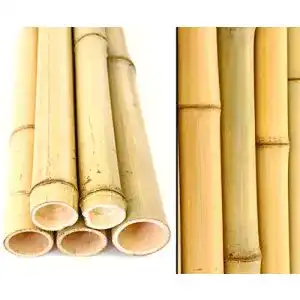 10er Set Bambusrohre 300 cm mit 4,5-6 cm Durchmesser