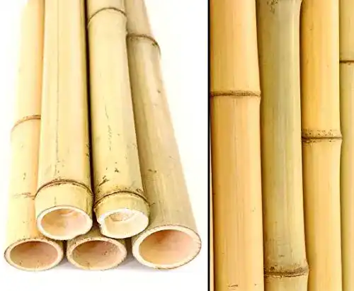 10er Set Bambusrohre 300 cm mit 4,5-6 cm Durchmesser