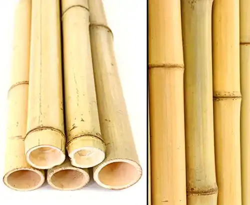10er Set Bambusrohre 300 cm mit 4,5-6 cm Durchmesser