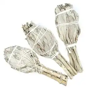 Weißer Salbei Farbenwald – 3 Räucherstäbchen aus Kalifornien, 11 cm lang