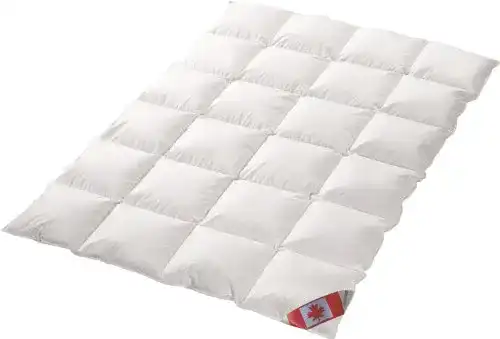 Bettdecke 200 x 220 cm aus kanadischer Daune von Schäfer