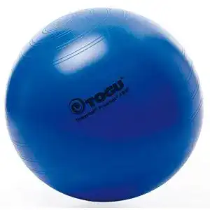 Gymnastikball 75 cm von Togu – Powerball Premium aus ABS