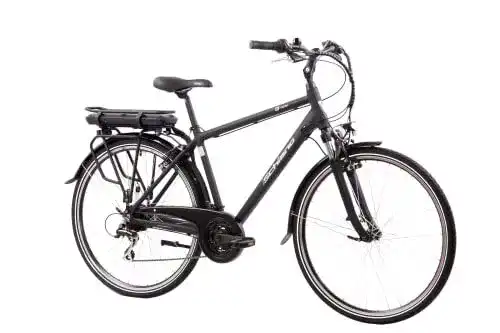 Herren E-Bike F.lli Schiano E-Ride 28 Zoll, City E-Bike mit 250W Motor