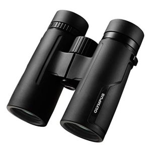 Olympus 8×42 PRO Fernglas Om System mit wasserdichter Konstruktion