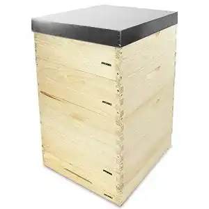 Bienenstock Apiformes Dadant US (DAD) 12 Waben Beute aus Weymouthskiefer