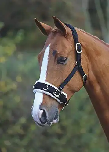 Kappzaum Shires mit Fleecefutter in Schwarz