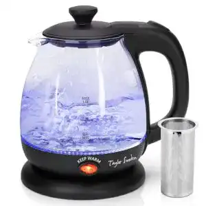 Reisewasserkocher Taylor Swoden, 1 Liter, kompakt und leistungsstark