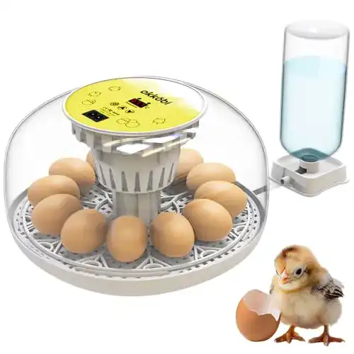 Vollautomatische Brutmaschine Okköbi Inkubator für Hühnereier