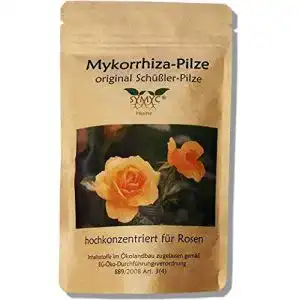 Mykorrhiza Symyc von Symplanta – Mykorrhiza Produkte für Pflanzen