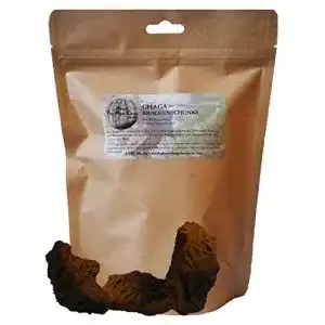 Chaga-Pilz von Atpc Media – Brocken aus Lappland für Tee und Kaffee