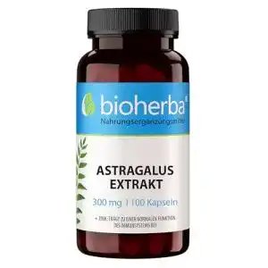 Astragalus Kapseln Bioherba 100 Stück mit 300 mg Pflanzenextrakt