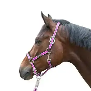 Halfter Calevo mit Stall Stripes für Reiter und Pferd