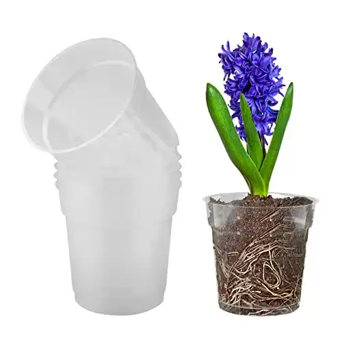 Orchideentöpfe Tslbw 5 Stück aus transparentem Kunststoff mit Abflusslöchern