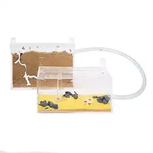 Ameisenfarm AntHouse – Natürliche Sandfarm mit Mini Acryl Wandset