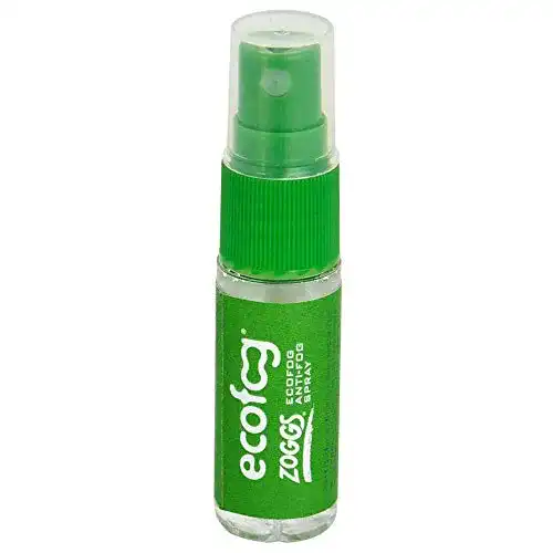 Antibeschlagspray Zoggs Ecofog für Linsen und optische Geräte