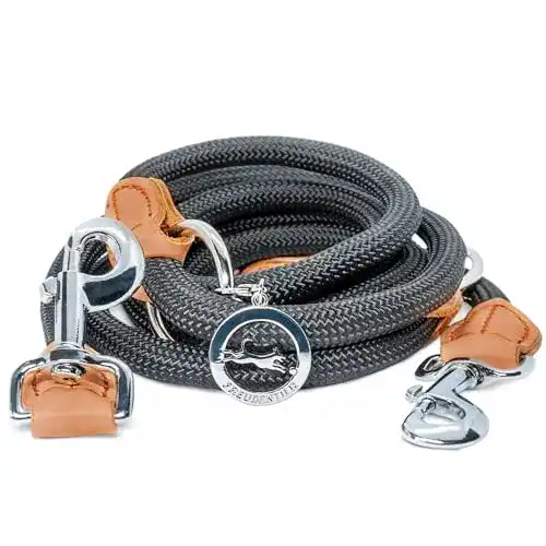 Hundeleine für mittelgroße und große Hunde, 2 Meter