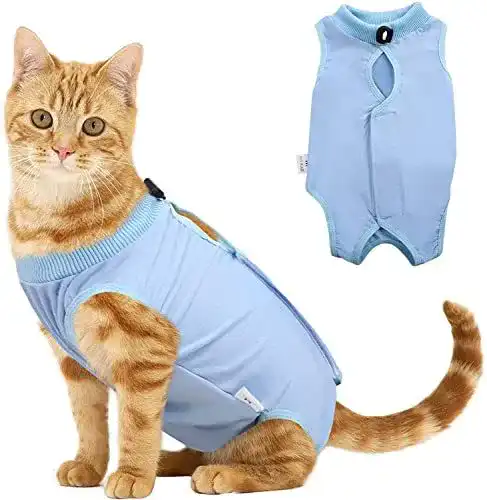 Katzenbody Voarge Recovery Suit für Katzen nach Operation